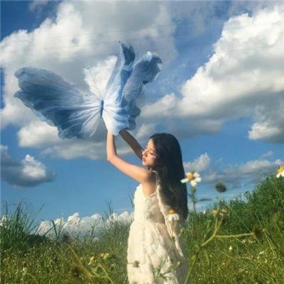 留鸟天空 海报